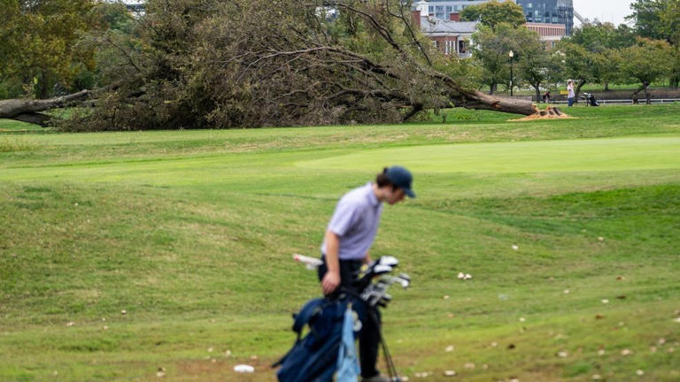 NPS could remove more than 500 trees at historic golf course Trump ...