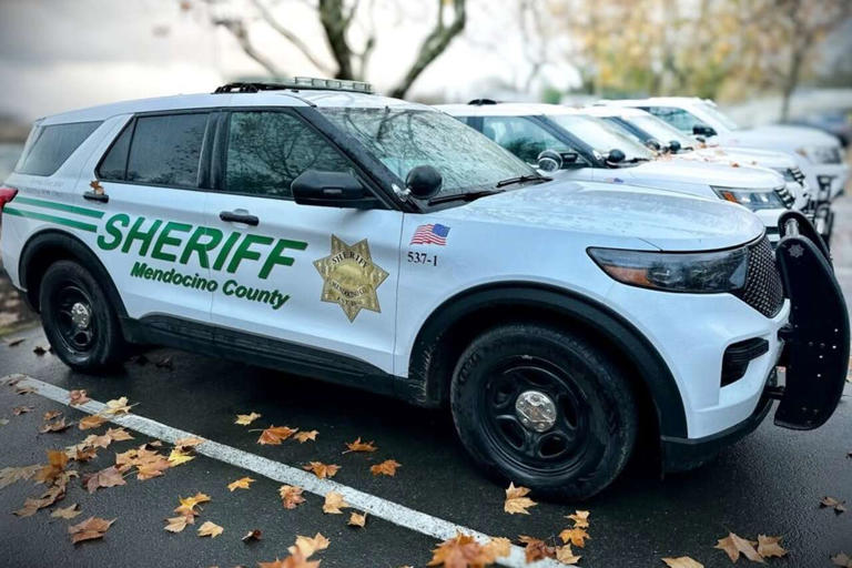 Father suspected of killing his 2 kids, then himself, in Northern California