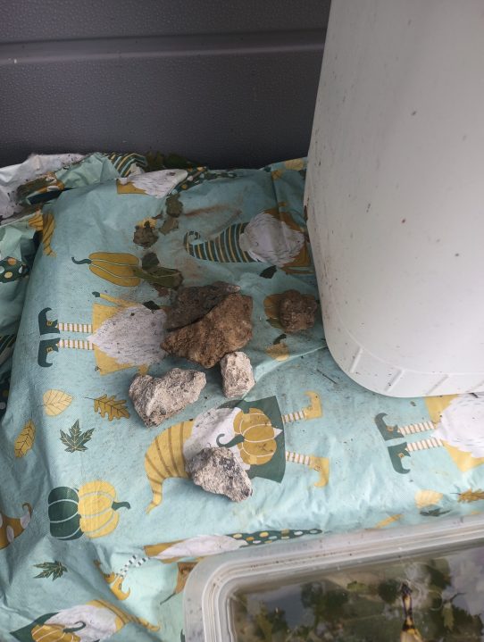 Milford investigating after reports of fireworks, rocks being thrown ...