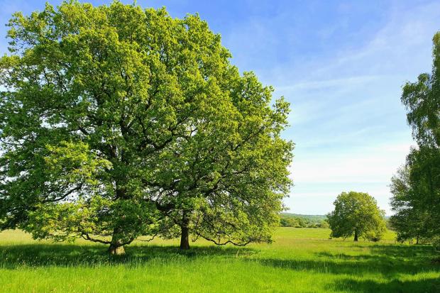 Worcestershire nature reserve to double in size after massive funding boost
