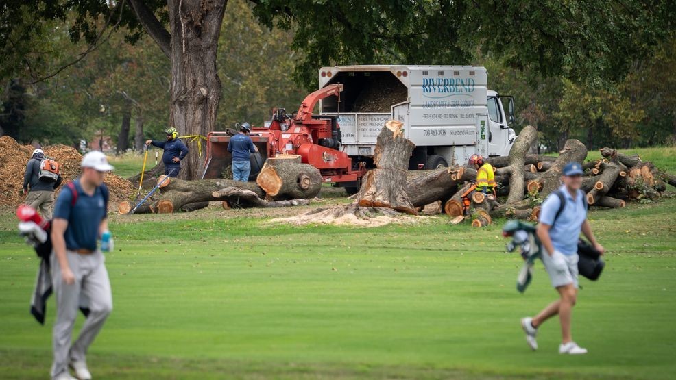 NPS could remove more than 500 trees at historic golf course Trump ...