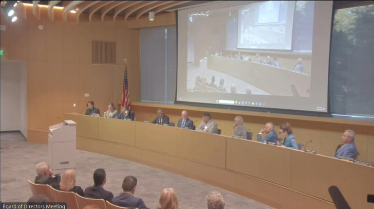 CEO of California high-speed rail project loses contracting power in ...