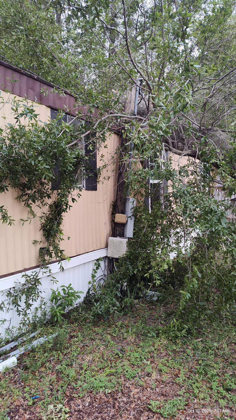 Gallery: Aftermath of Hurricane Isaias in Florida Panhandle