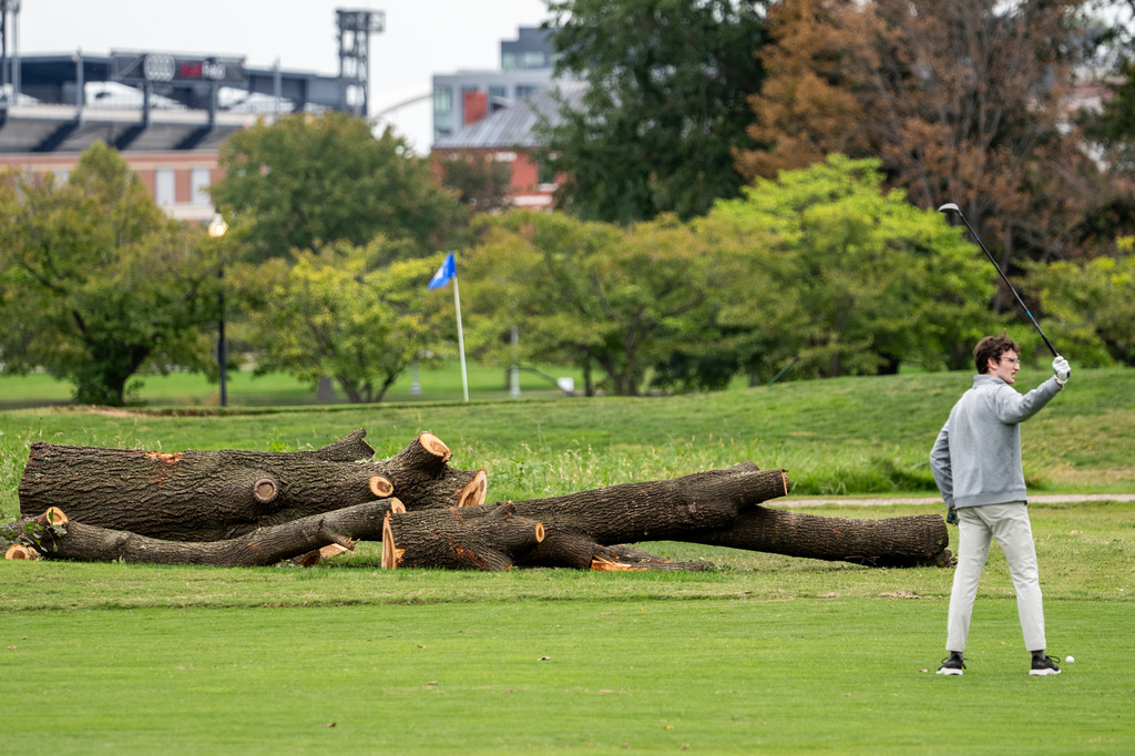 Park service could remove more than 500 trees at historic golf course ...