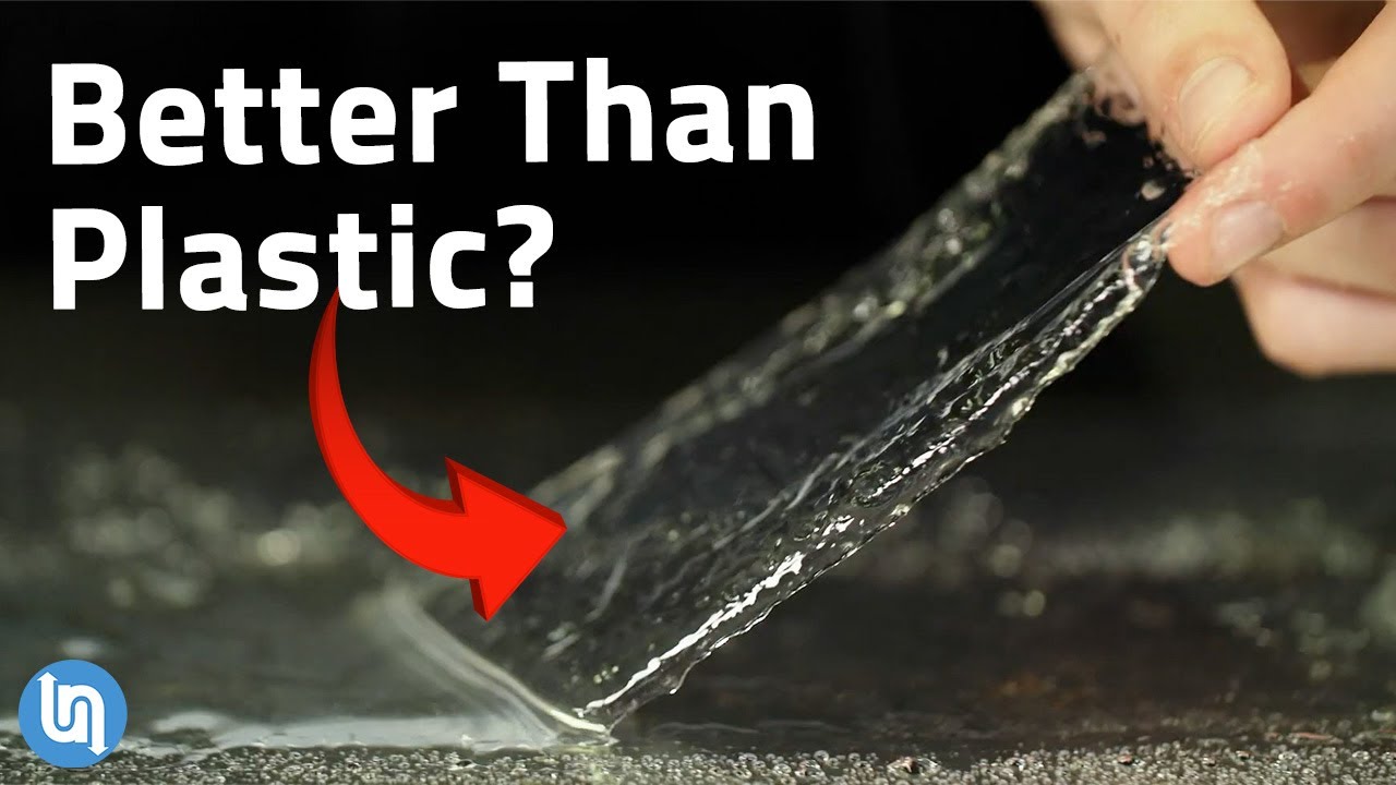Why seaweed could be the future of plastic