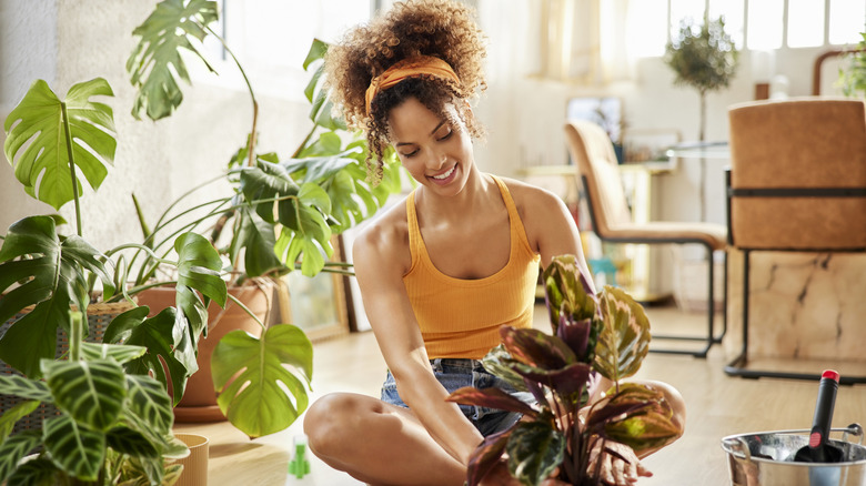 Nothing shows off fall colors like growing these houseplants