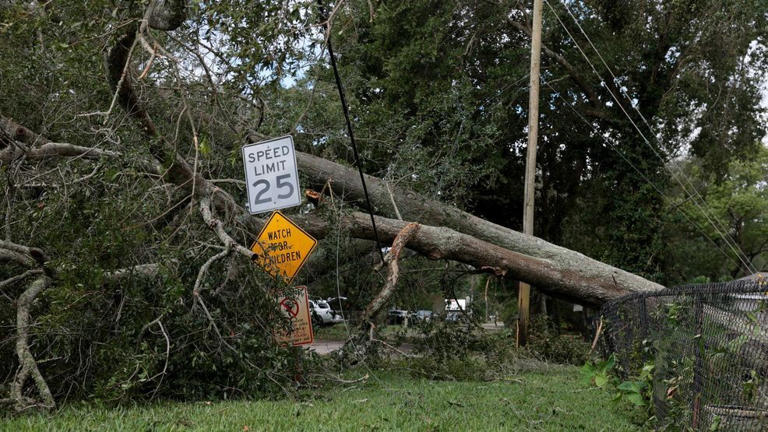 AAA urges Floridians to document storm damage, avoid scams following ...