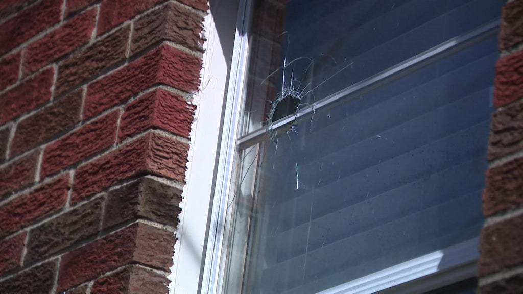 Man shot by police in Stoughton, Massachusetts, was trying to hit ...