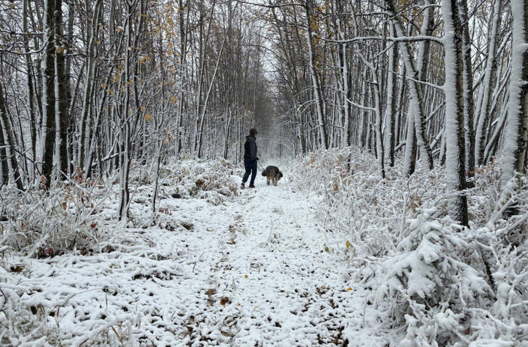 Edmonton weather: A burst of snow before highs in the teens again next week