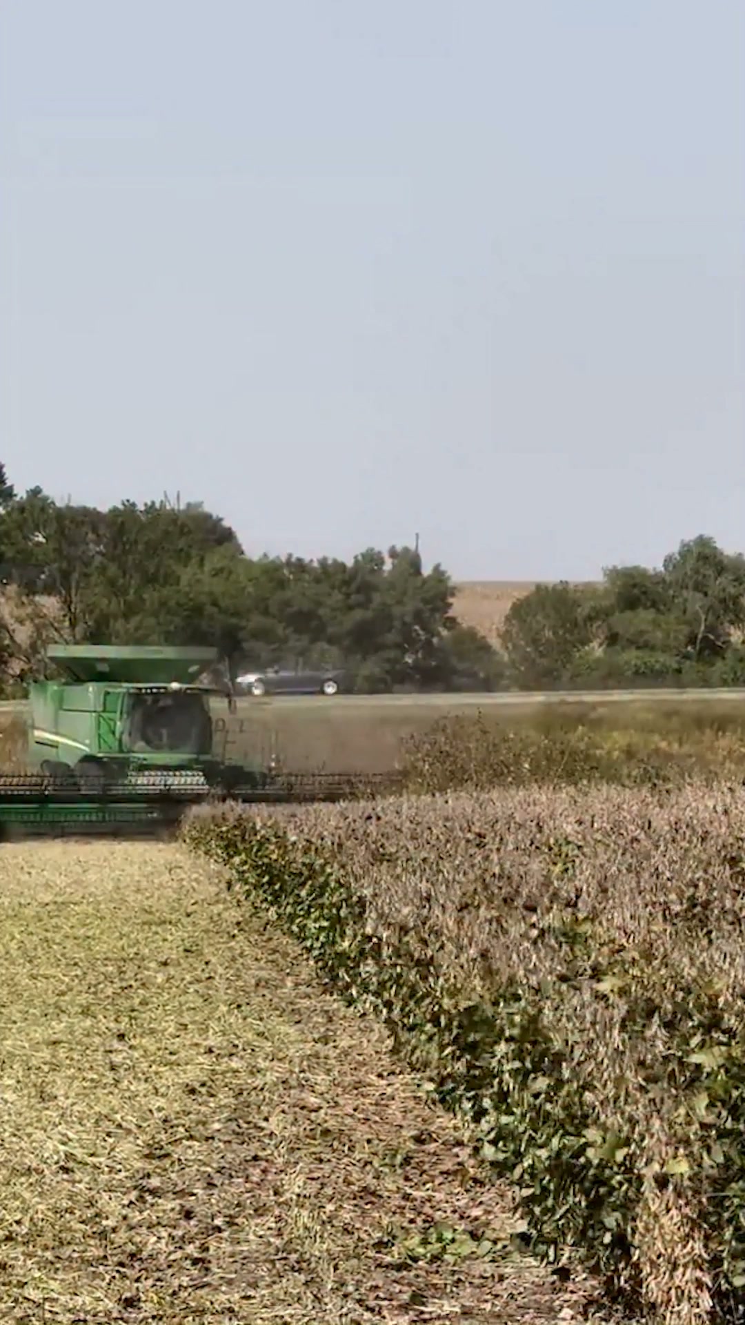 Beating the impossible on the farm