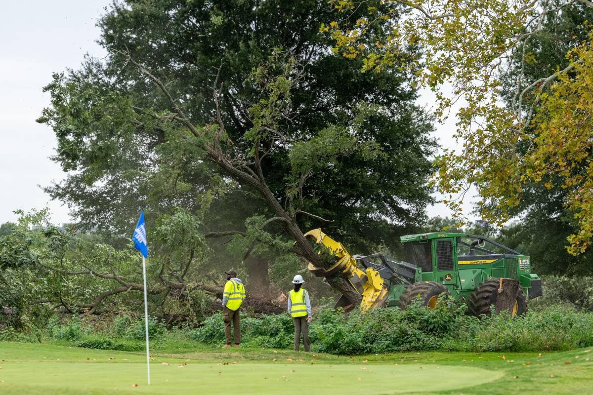 Park service could remove more than 500 trees at historic golf course ...