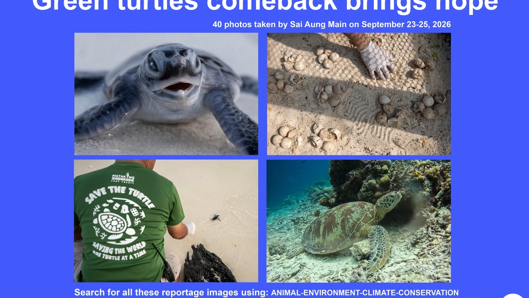 Animal rescue and conservation efforts in 2026