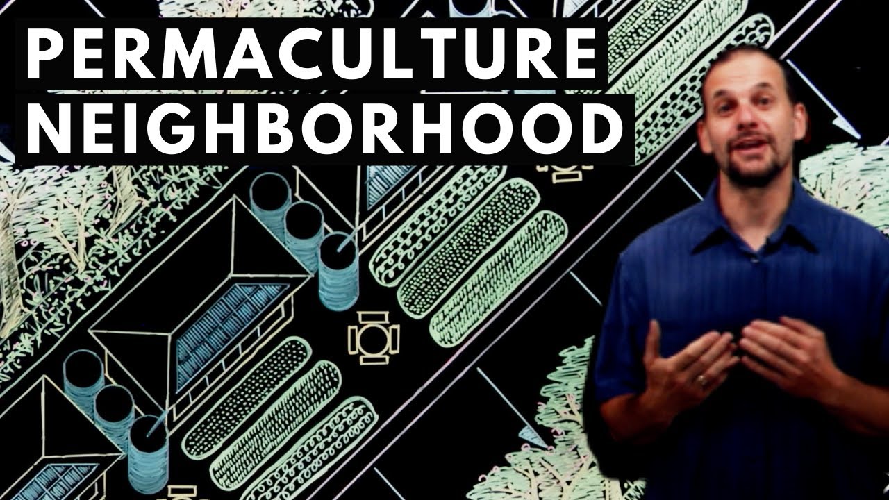 How to design a permaculture neighborhood