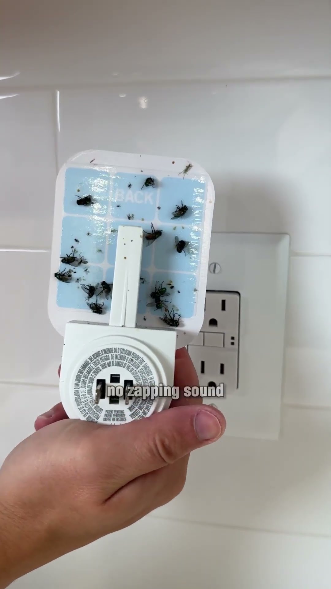 This light trap catches flies without chemicals!