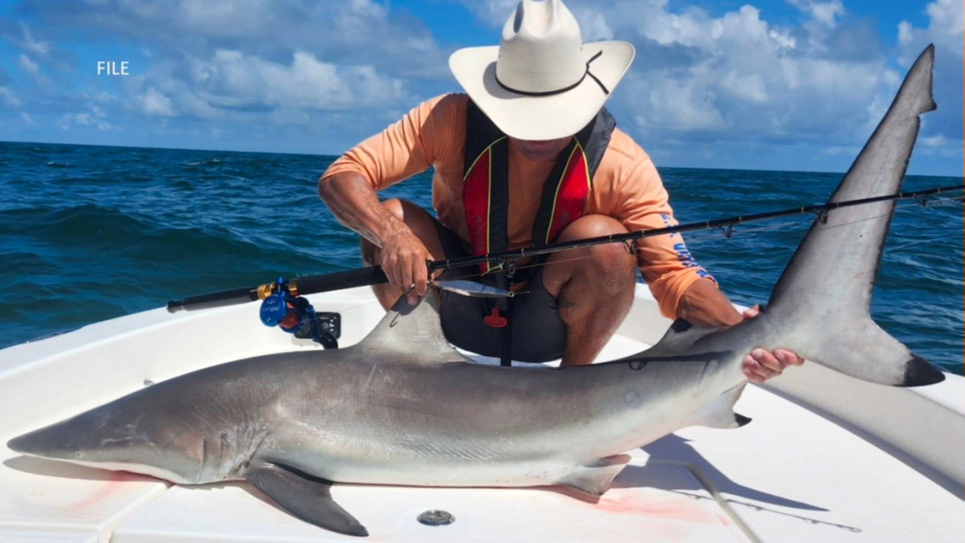 Hurricane Isaias brings rough surf to Sharkathon and Port Aransas kite fest