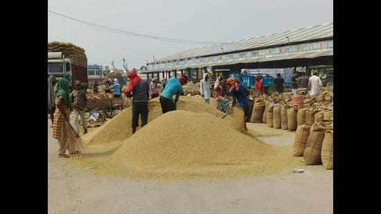 'Slow paddy' lifting clogging Haryana mandis