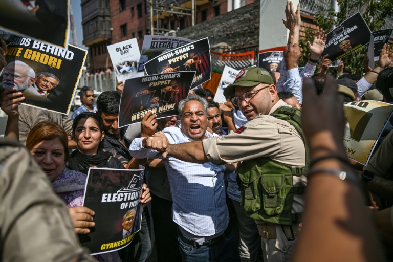 The 'cockroach' protests against India's election body