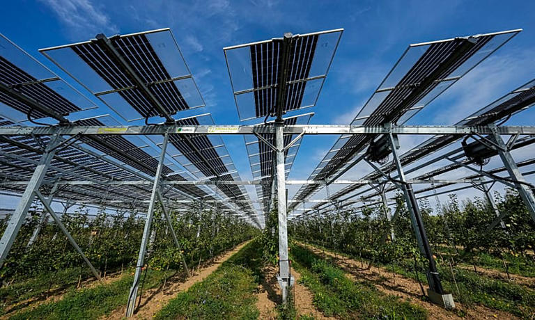 Farming and solar power are competing for land. Can agrivoltaics solve ...