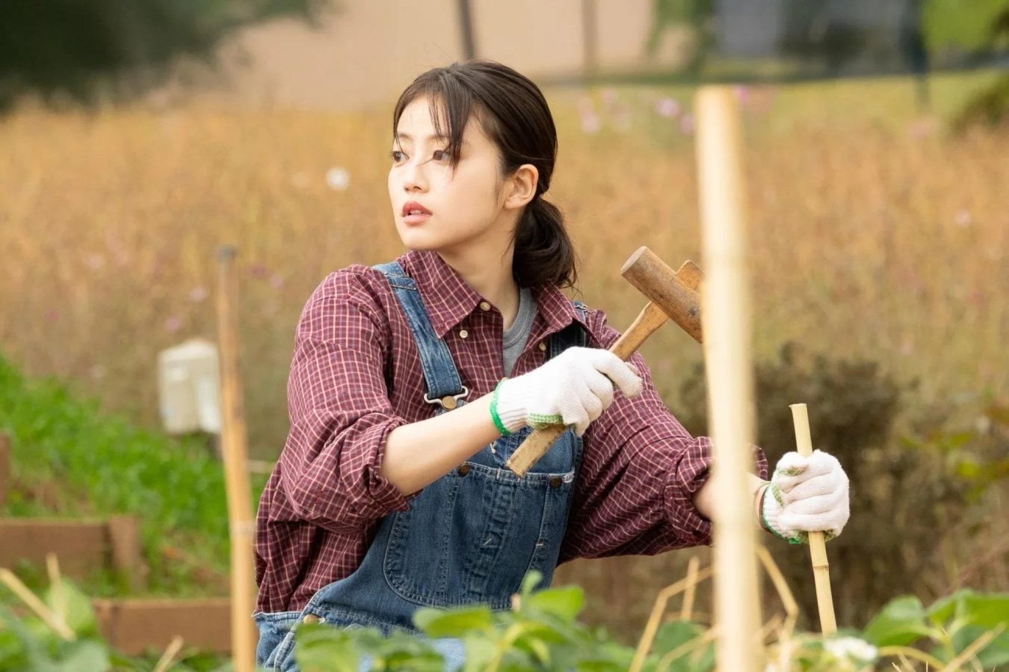 Disney+ K-drama Merry Berry Love: Ji Chang-wook goes to Japan in hollow ...