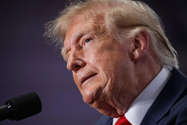 Donald Trump calls out Kamala Harris' appearance in nasty rally moment