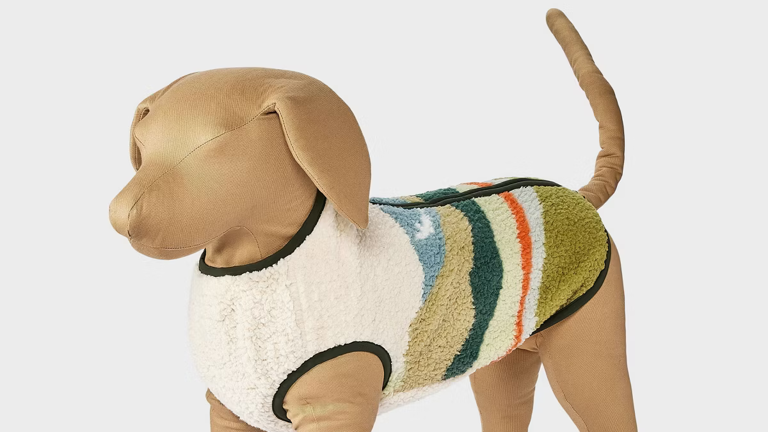 10 best dog sweaters to keep your pup warm (and stylish) this fall