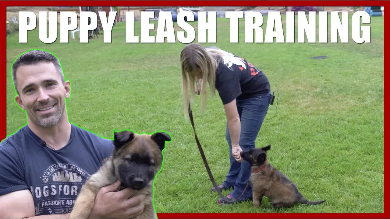 Bethany Preud'homme shows how to teach your puppy its first leash walk