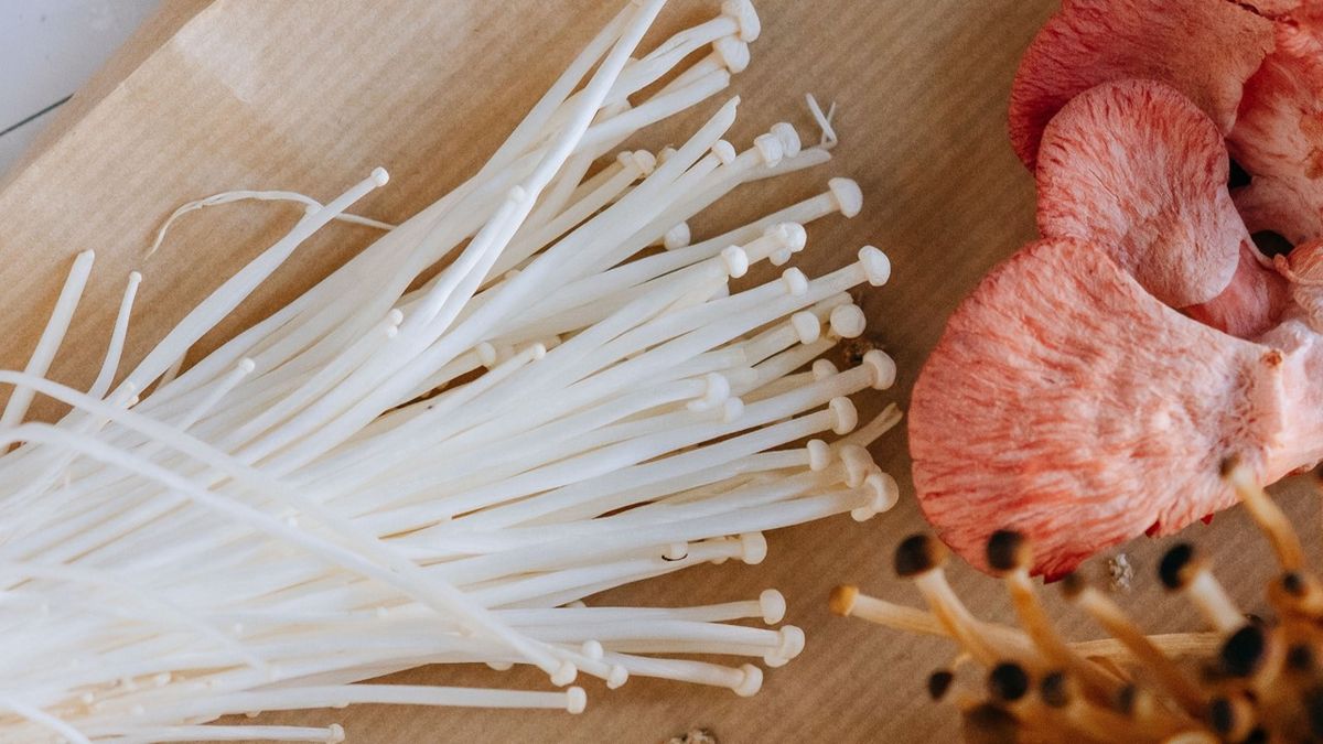 Dukung metabolisme energi, 9 manfaat jamur enoki untuk kesehatan ...
