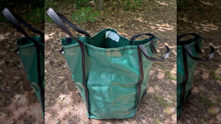 Stop wasting trash bags: The reusable find from Lowe's for cleaning up ...
