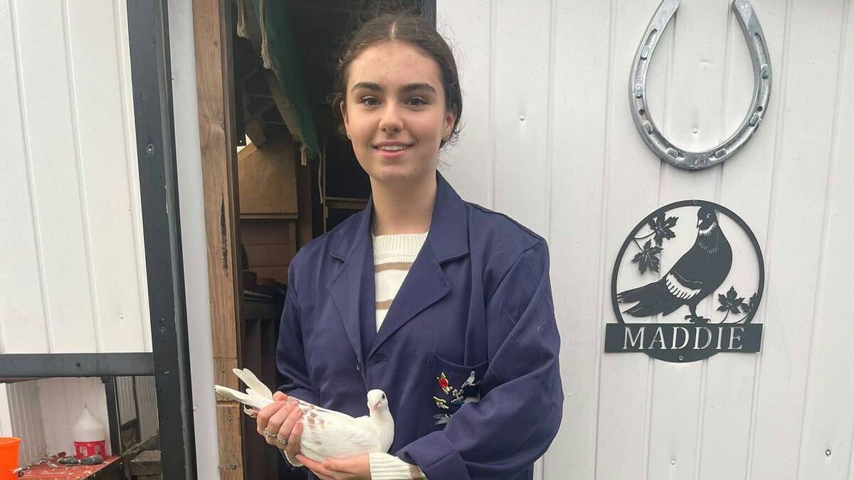 My life with Madison McElhone: Meet the 16-year-old pigeon racer with ...