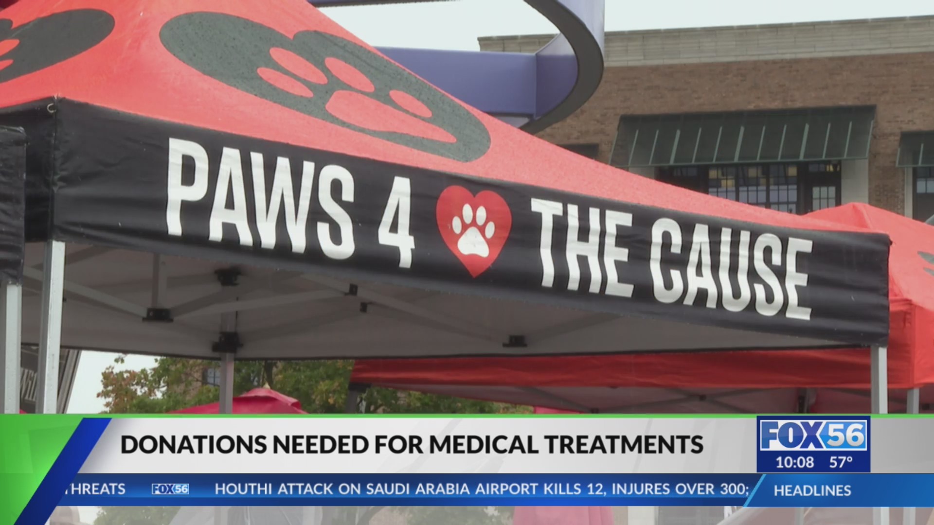 Lexington animal rescue faces crisis as donations drop