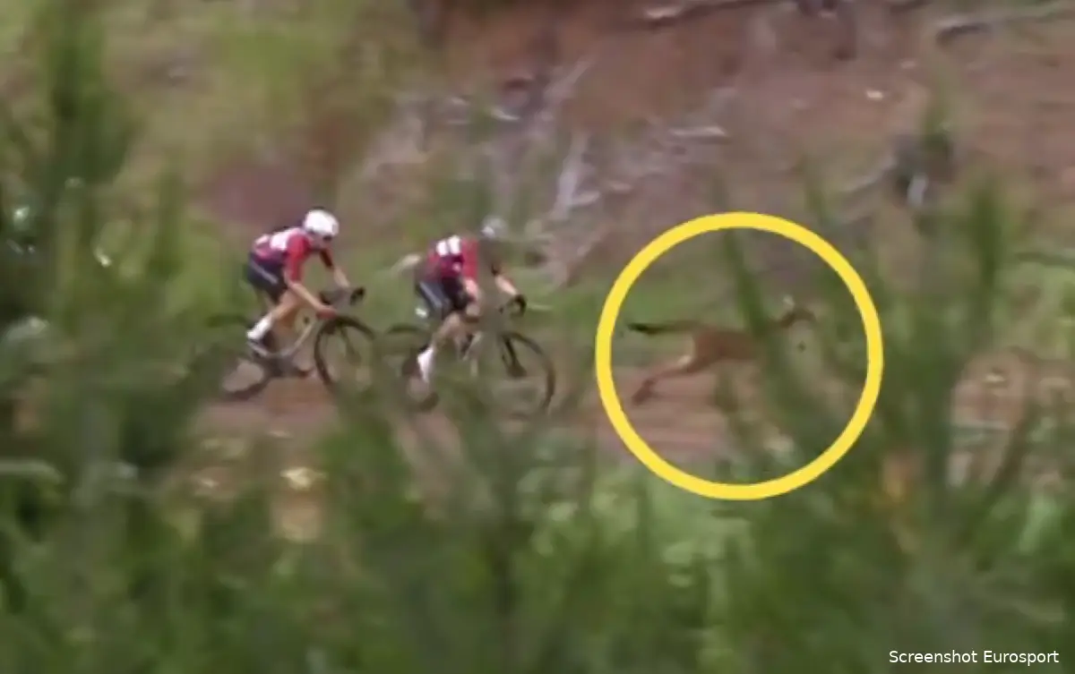 🎥 A gravel world championship in Australia isn't a gravel world ...