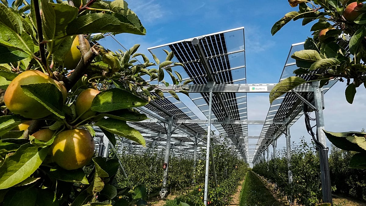 Farming and solar power are competing for land. Can agrivoltaics solve ...