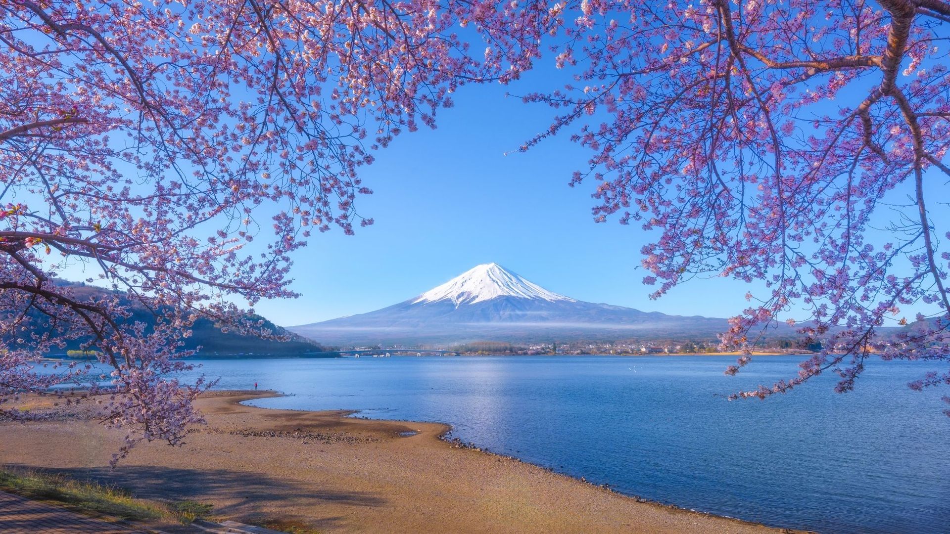 A pilgrims’ trail on Mount Fuji