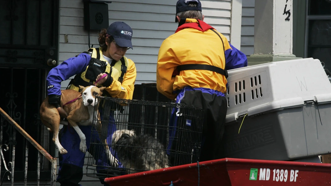 Animal rescue and conservation efforts in 2026