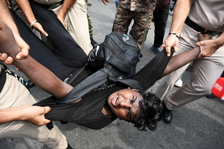 India's 'cockroach' protest movement leaders freed from detention