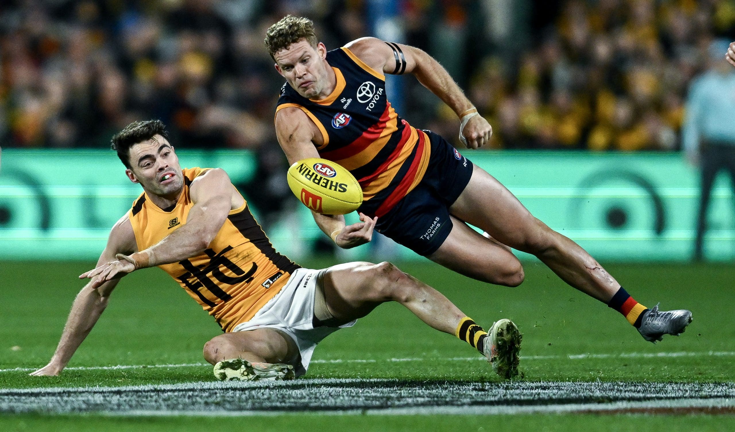 Adelaide re-signs four players to contract extensions