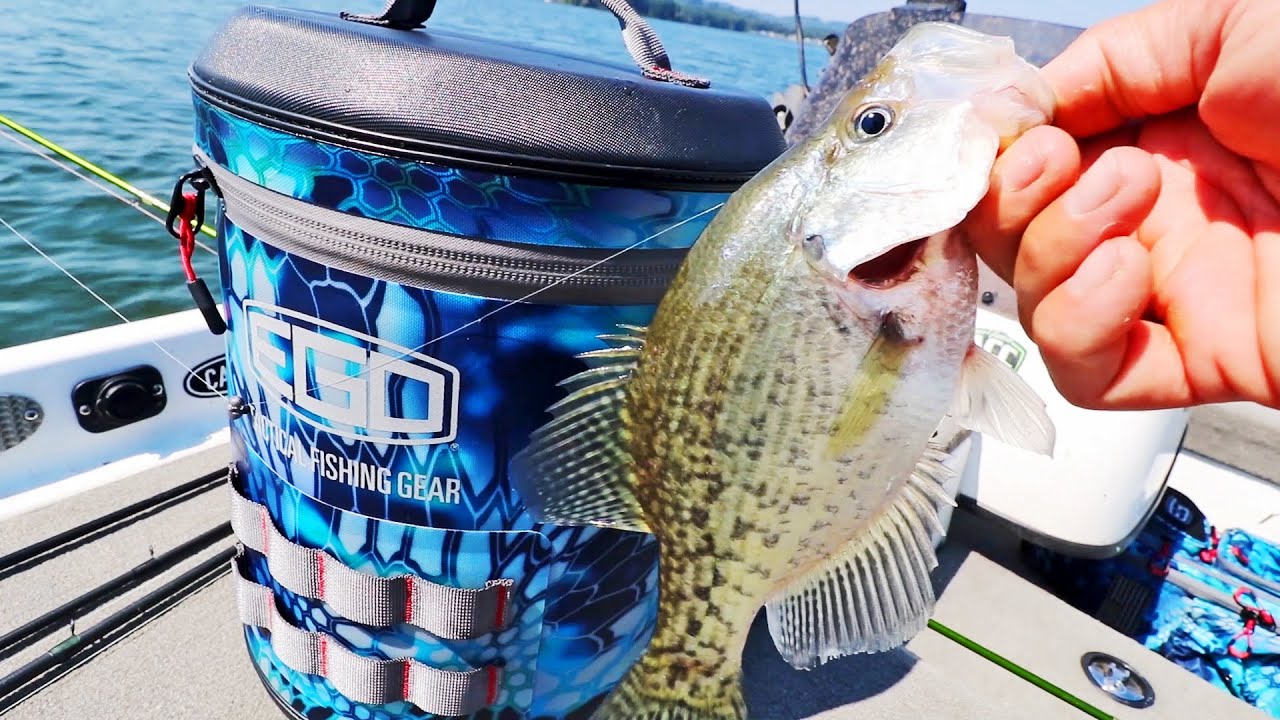 Ego fishing bait cooler review for live minnows