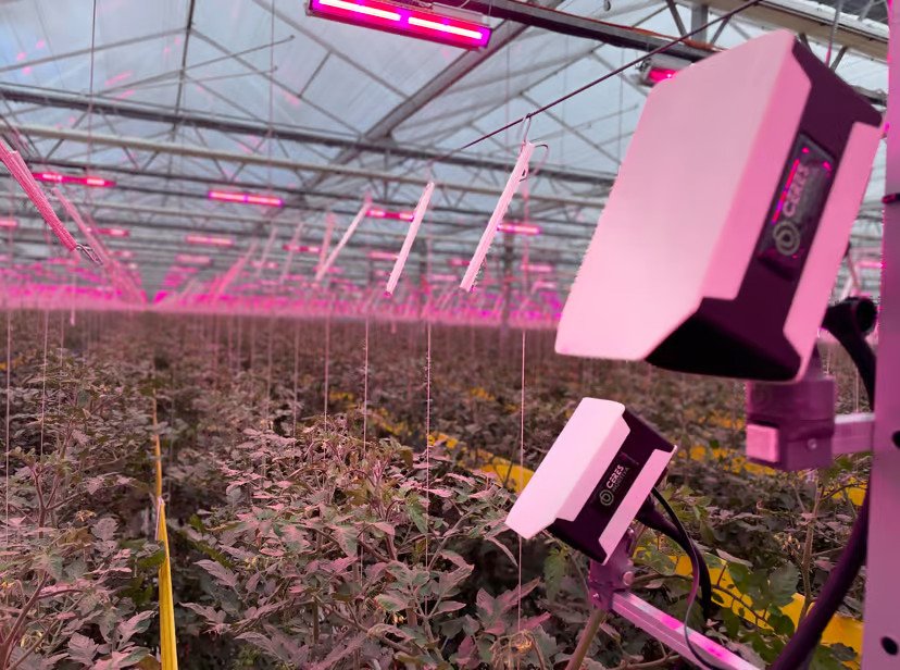 Hortiya brings generative AI to greenhouse