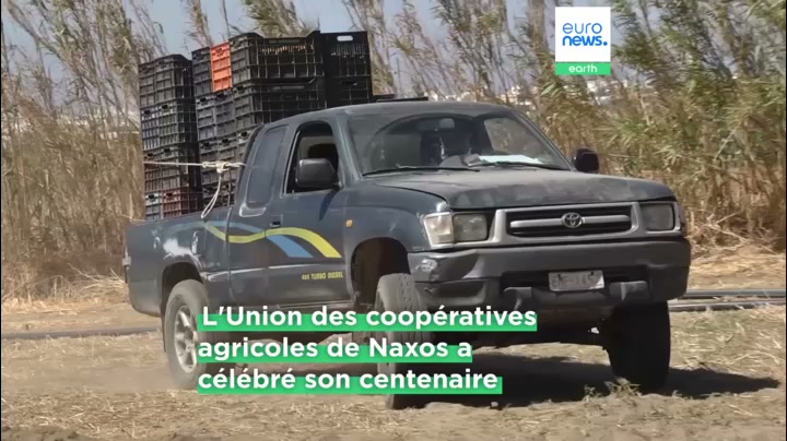La pomme de terre de Naxos : une culture séculaire en danger