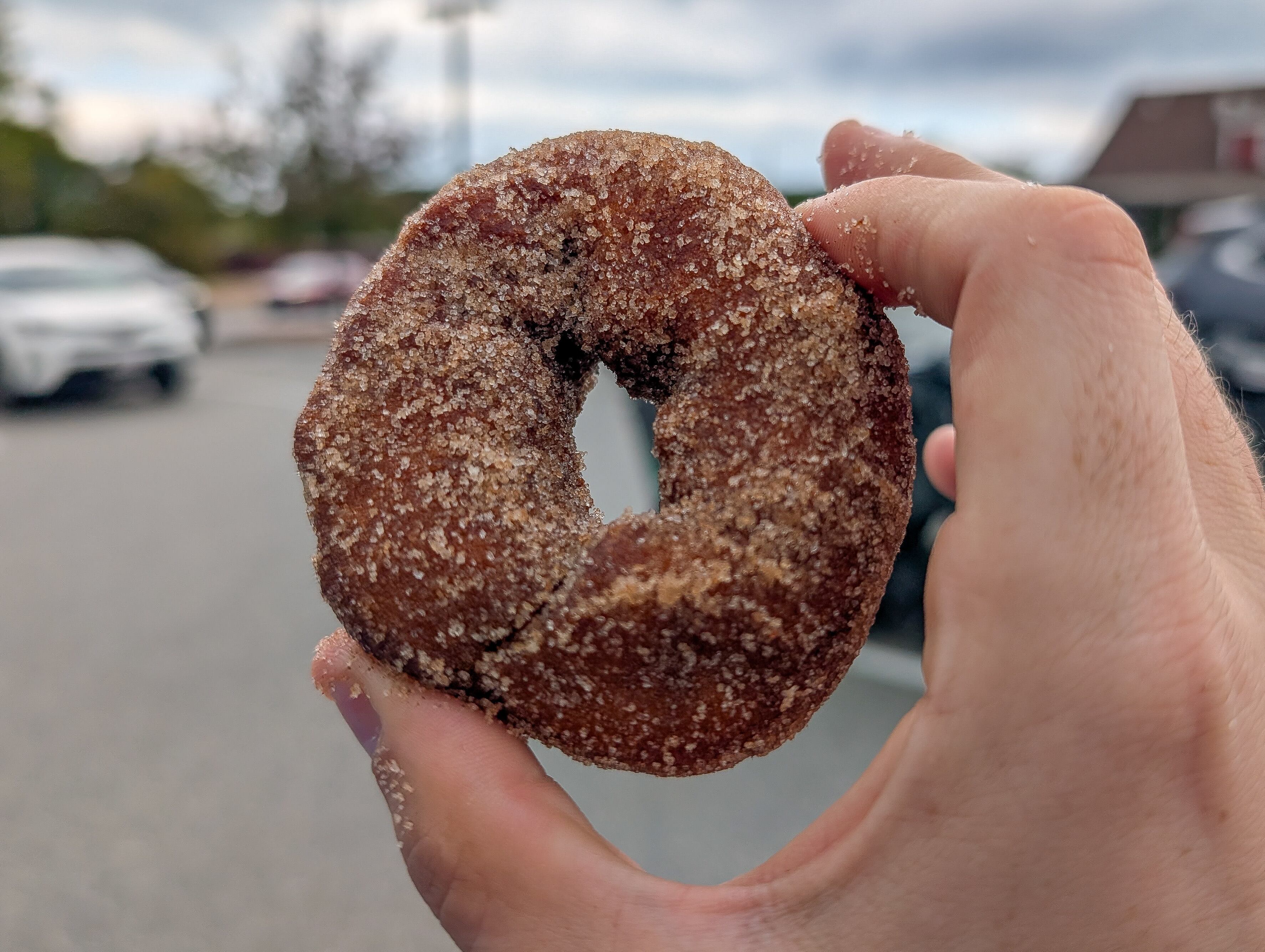 The 21 best cider doughnuts in Massachusetts, ranked for 2026