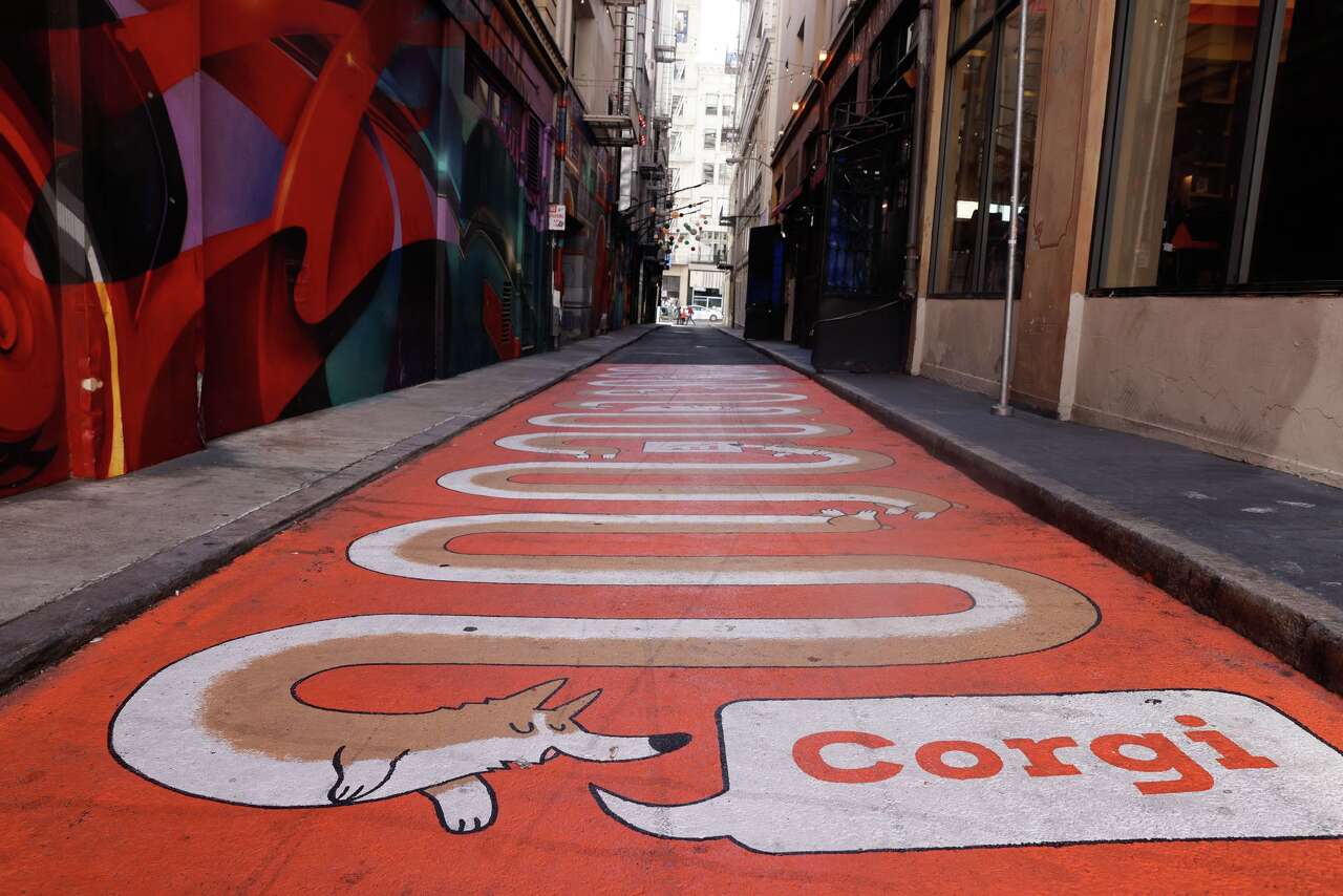Exclusive: Corgi's SF cafe is still shuttered as zoning fight clouds ...