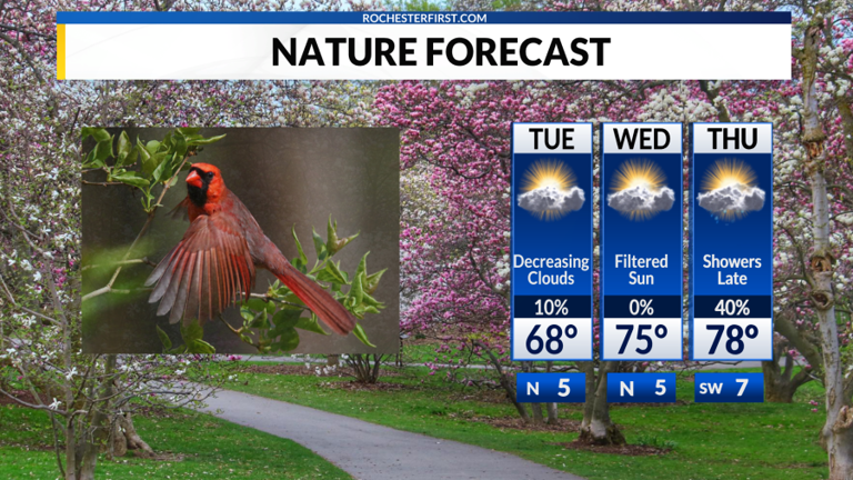 Weather forecast: A big warm up incoming