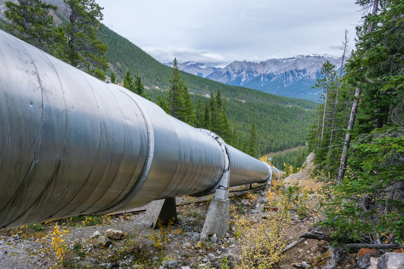 Fluor wins $7.5B share of LNG Canada phase 2 contract