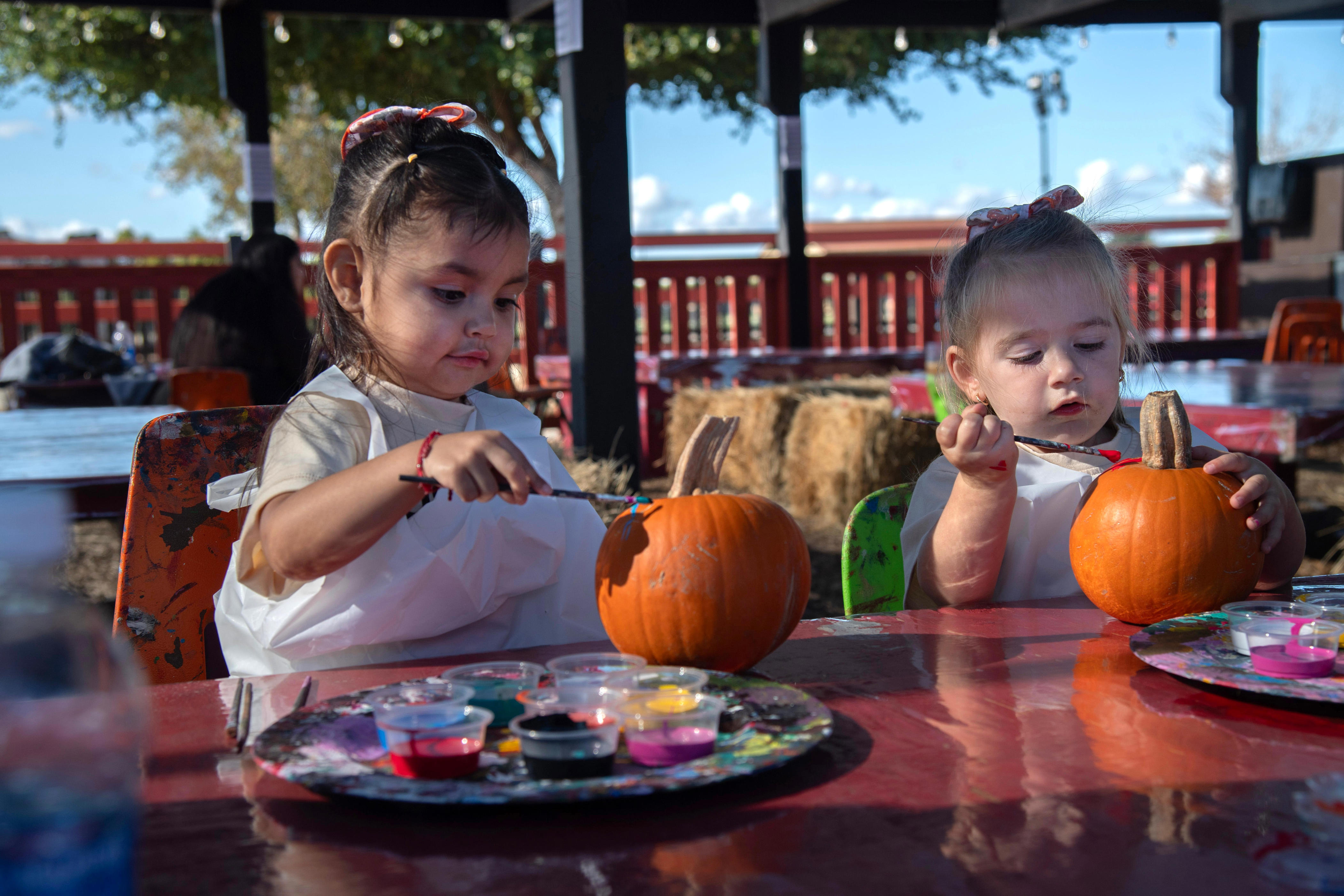 Dell’Osso celebrates 30th Halloween with corn maze, haunted castle, more
