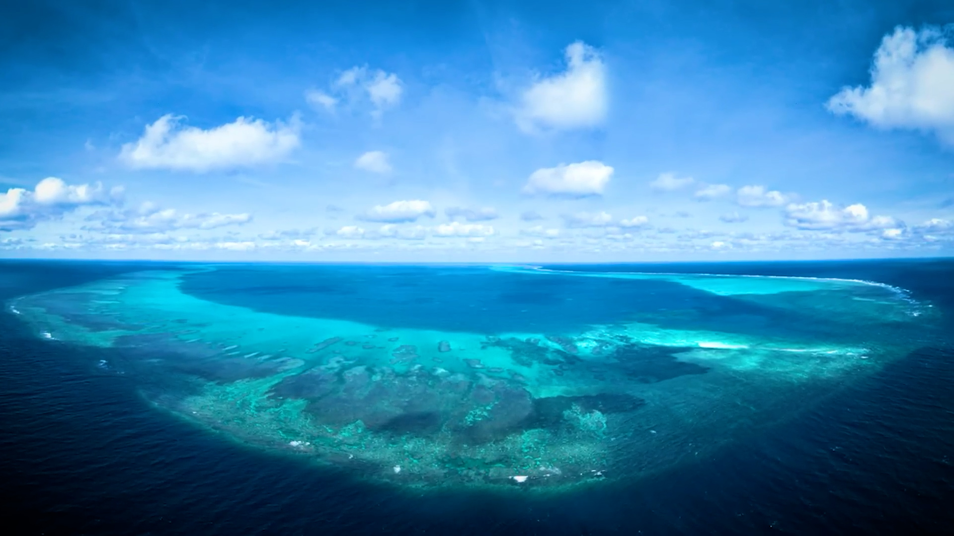 What researchers have started pulling out of the Bermuda Triangle