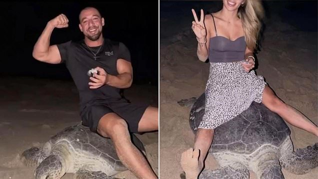 Tourist sparks fury after riding a sea turtle down a beach