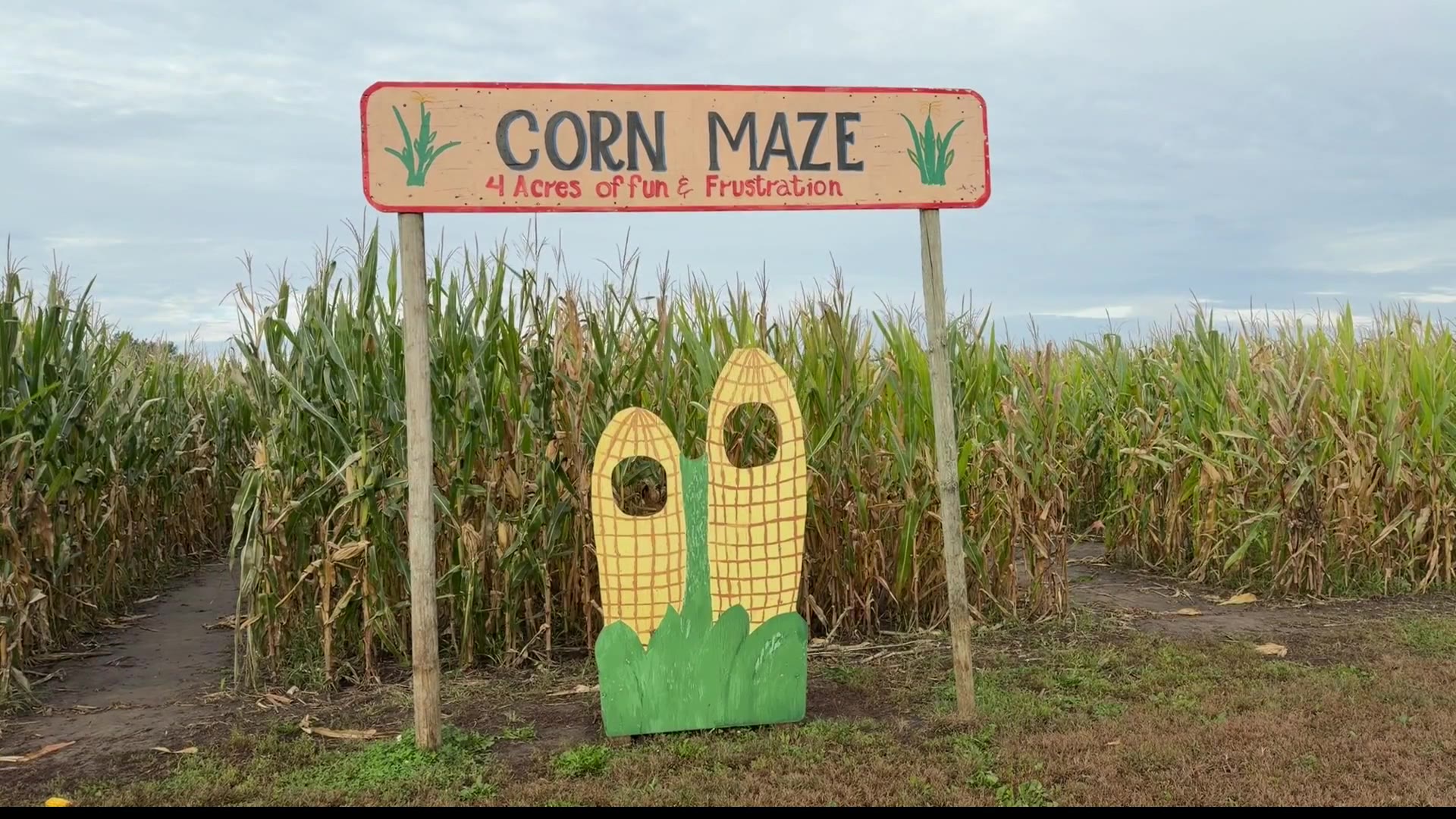 Orchards and pumpkin patches adapt to soggy September