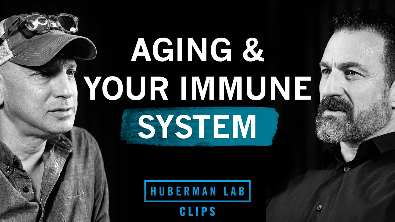 Why your immune system declines with age | Dr. Max Krummel & Dr. Andrew ...