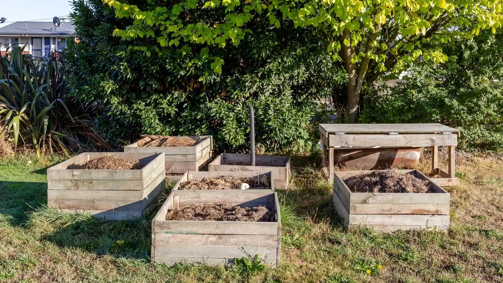 The 5 steps to starting a compost bin at home