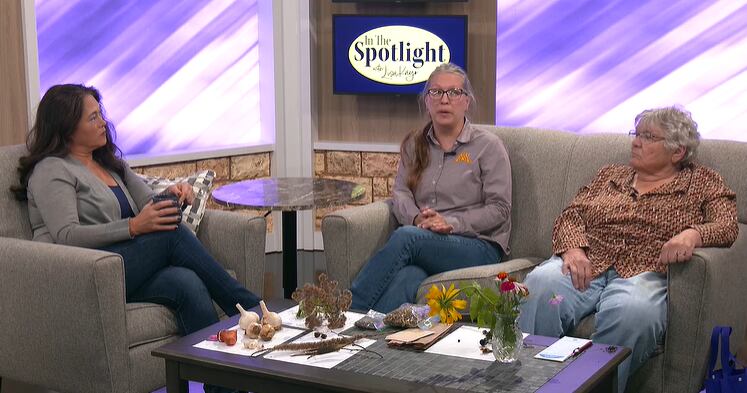 Master gardeners share fall tips for saving seeds, planting garlic and ...